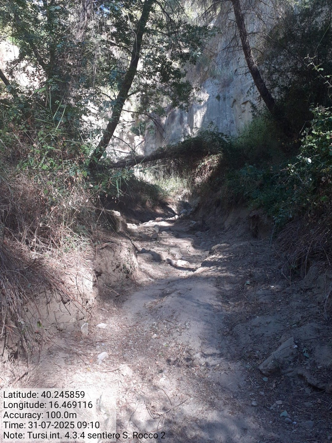 Galleria Fotografica Immagine