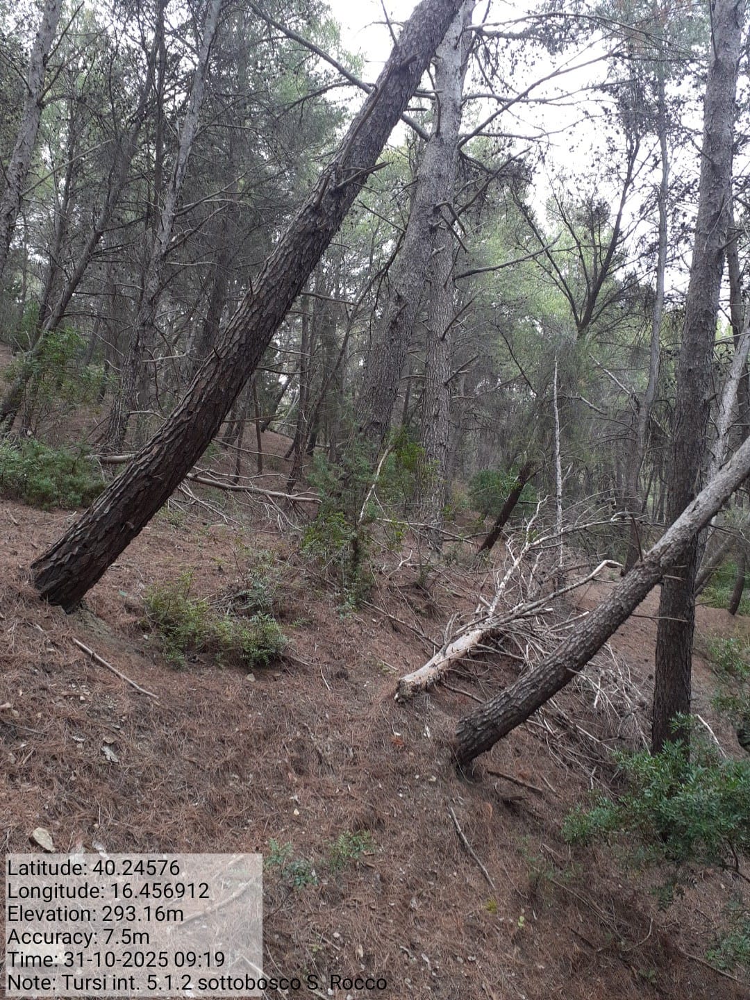 Galleria Fotografica Immagine