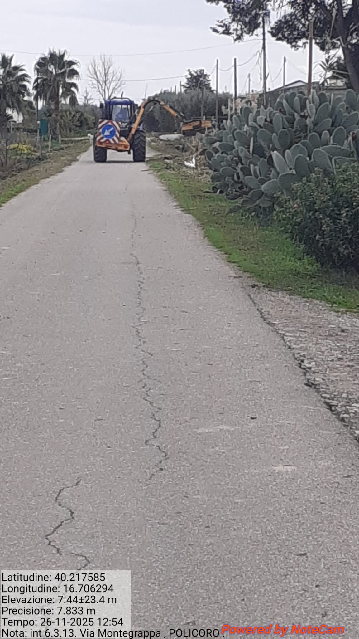 Galleria Fotografica Immagine