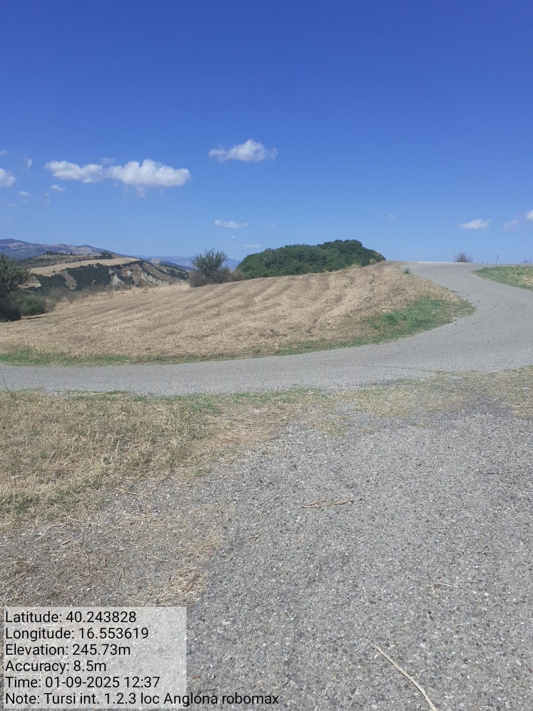 Galleria Fotografica Immagine