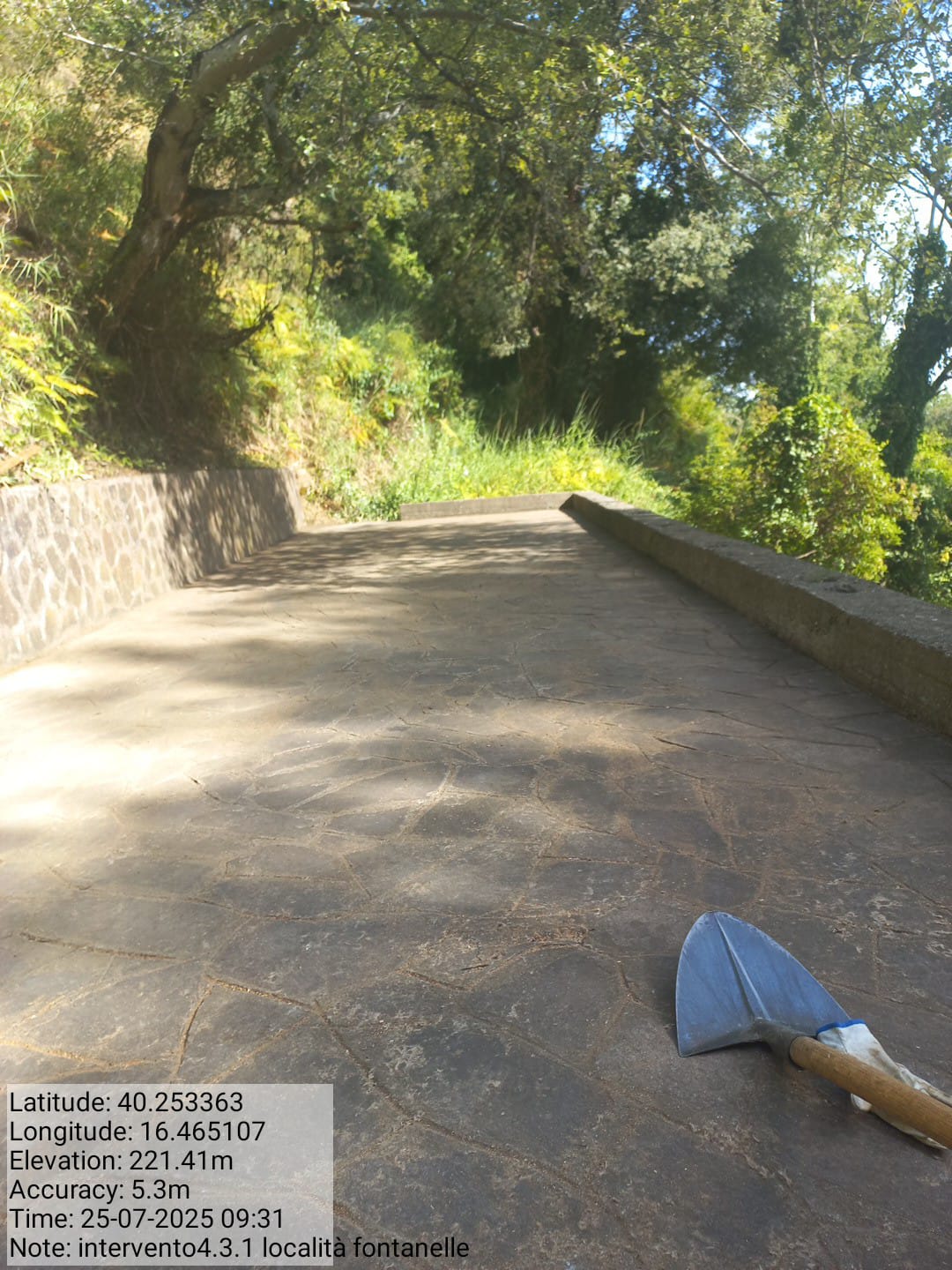 Galleria Fotografica Immagine