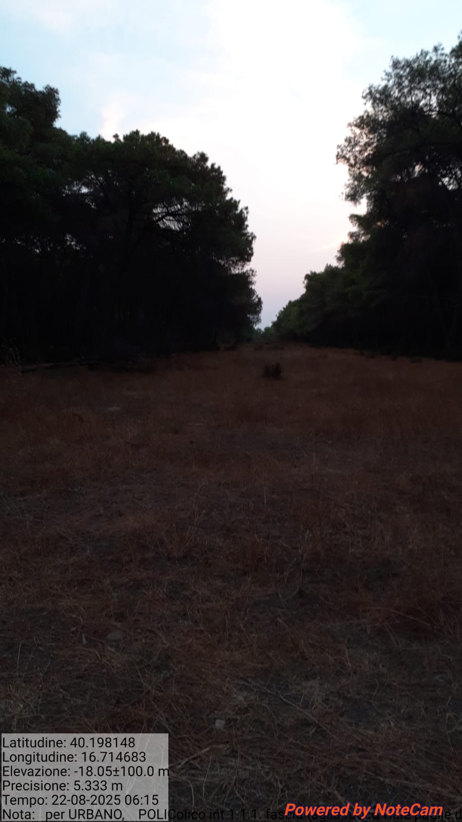 Galleria Fotografica Immagine