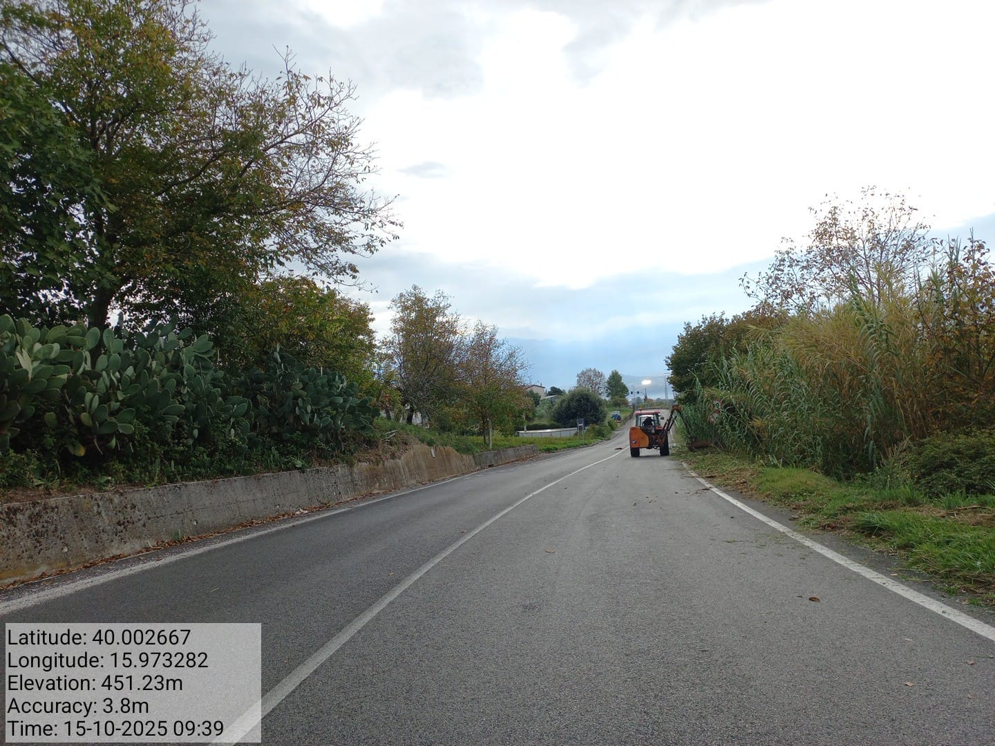 Galleria Fotografica Immagine