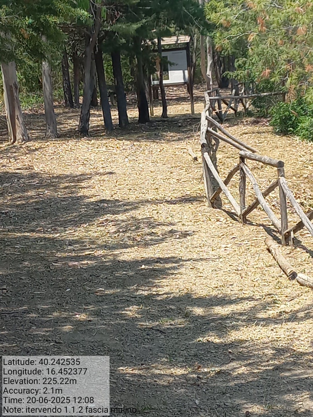 Galleria Fotografica Immagine