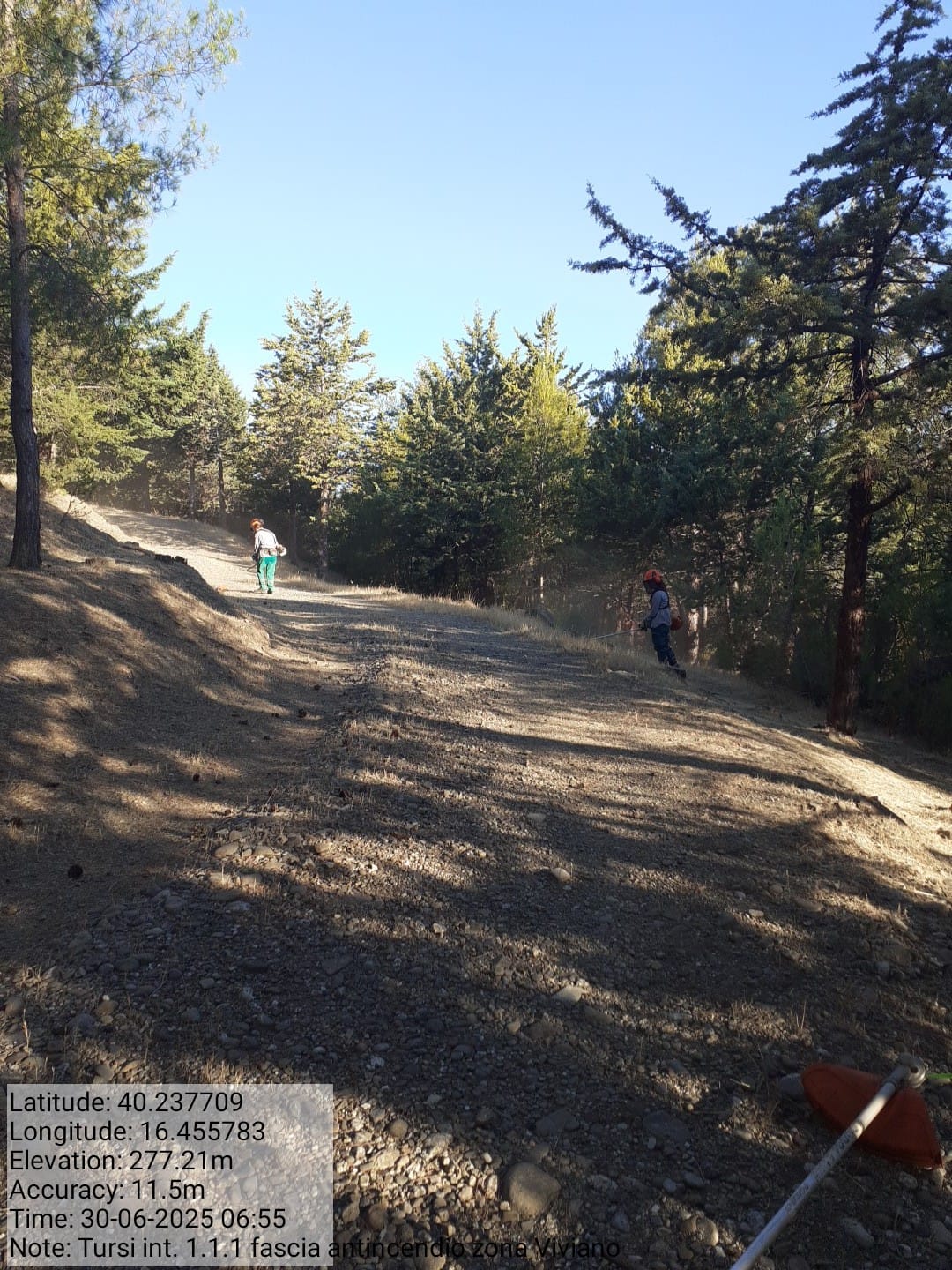 Galleria Fotografica Immagine