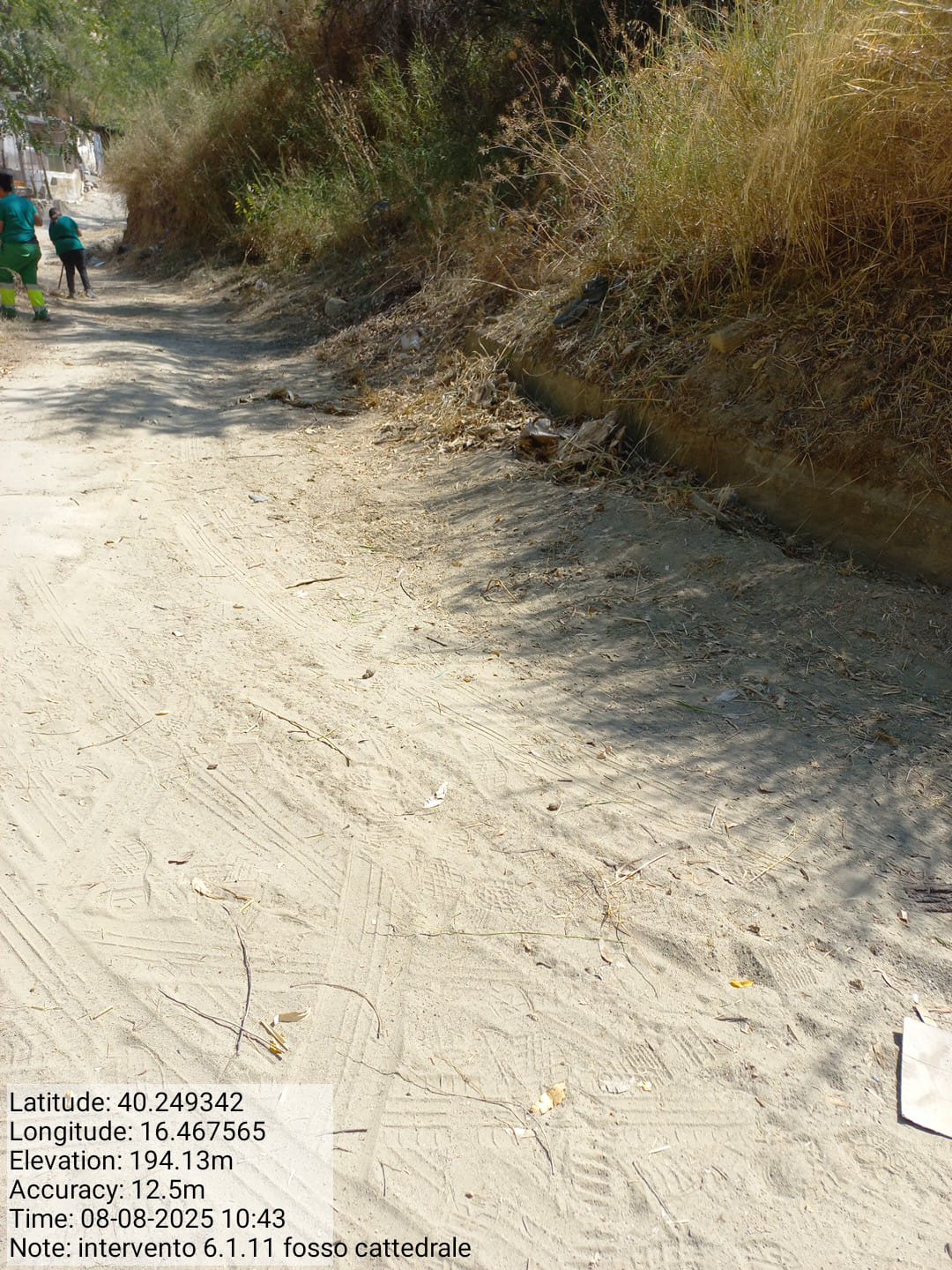 Galleria Fotografica Immagine