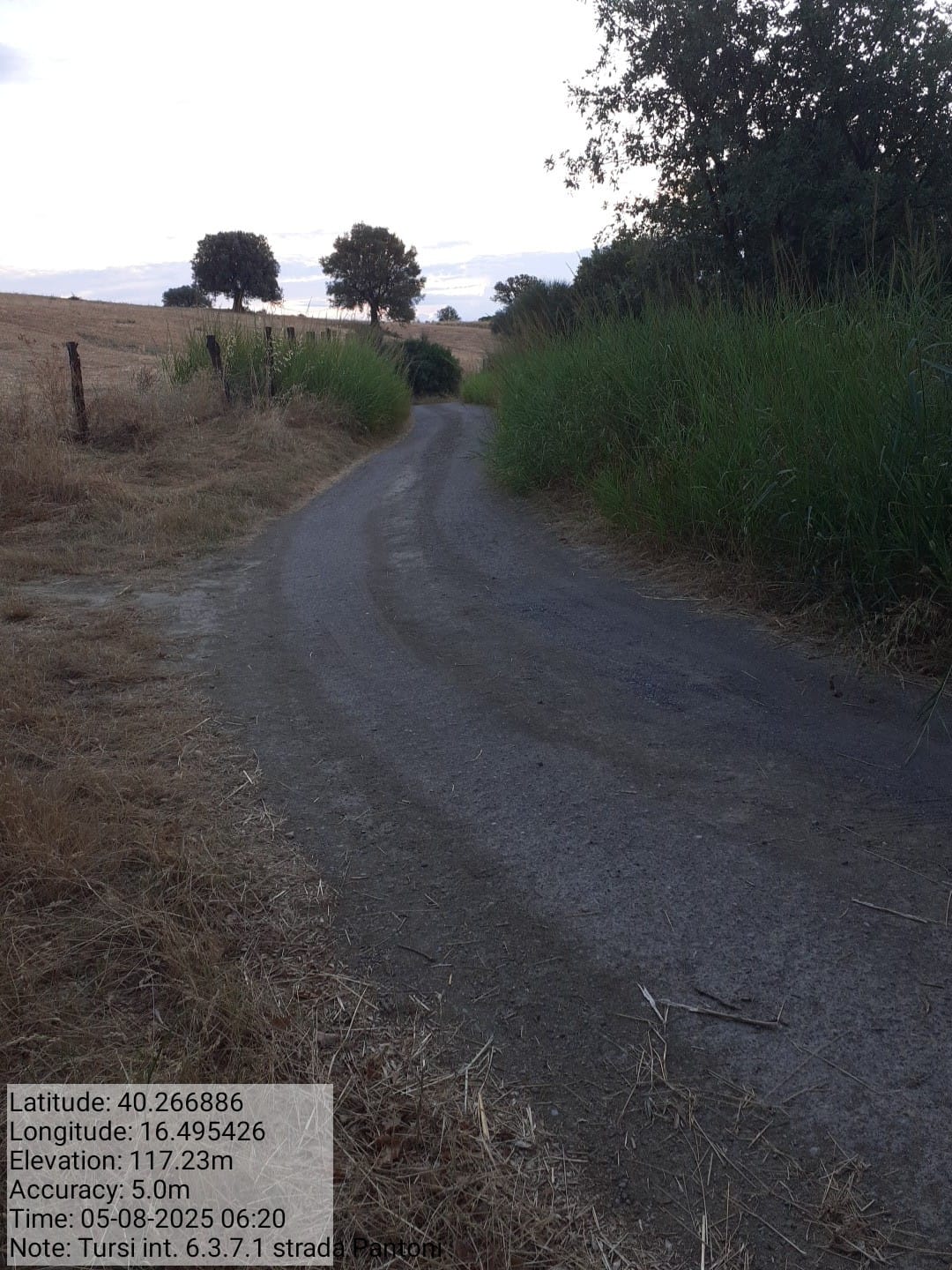 Galleria Fotografica Immagine