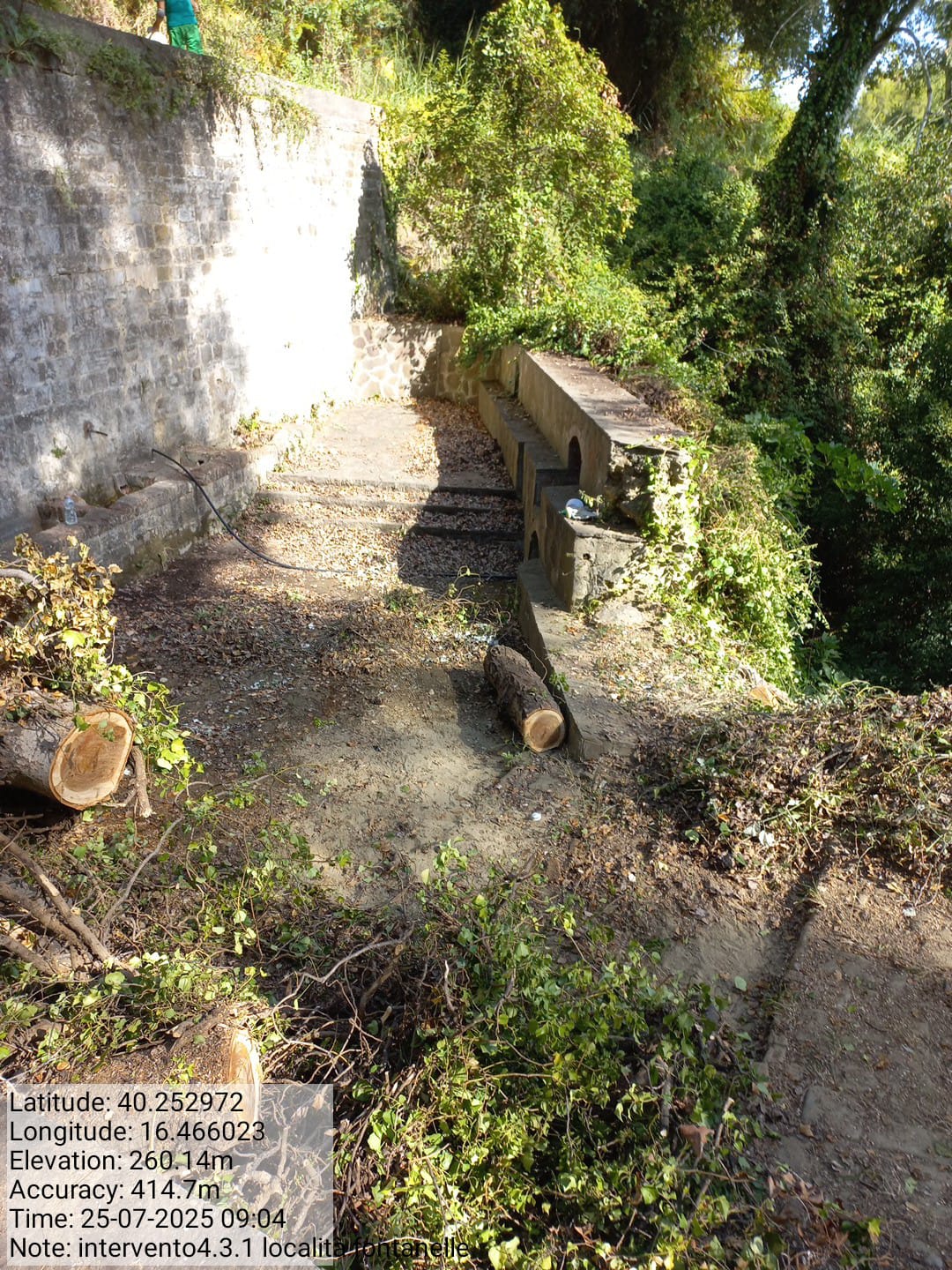 Galleria Fotografica Immagine