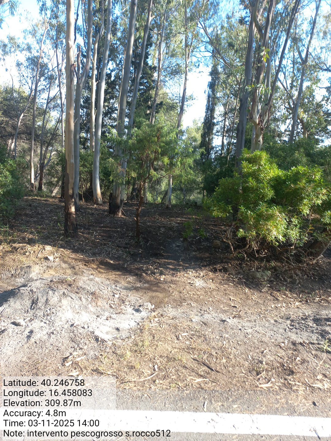 Galleria Fotografica Immagine