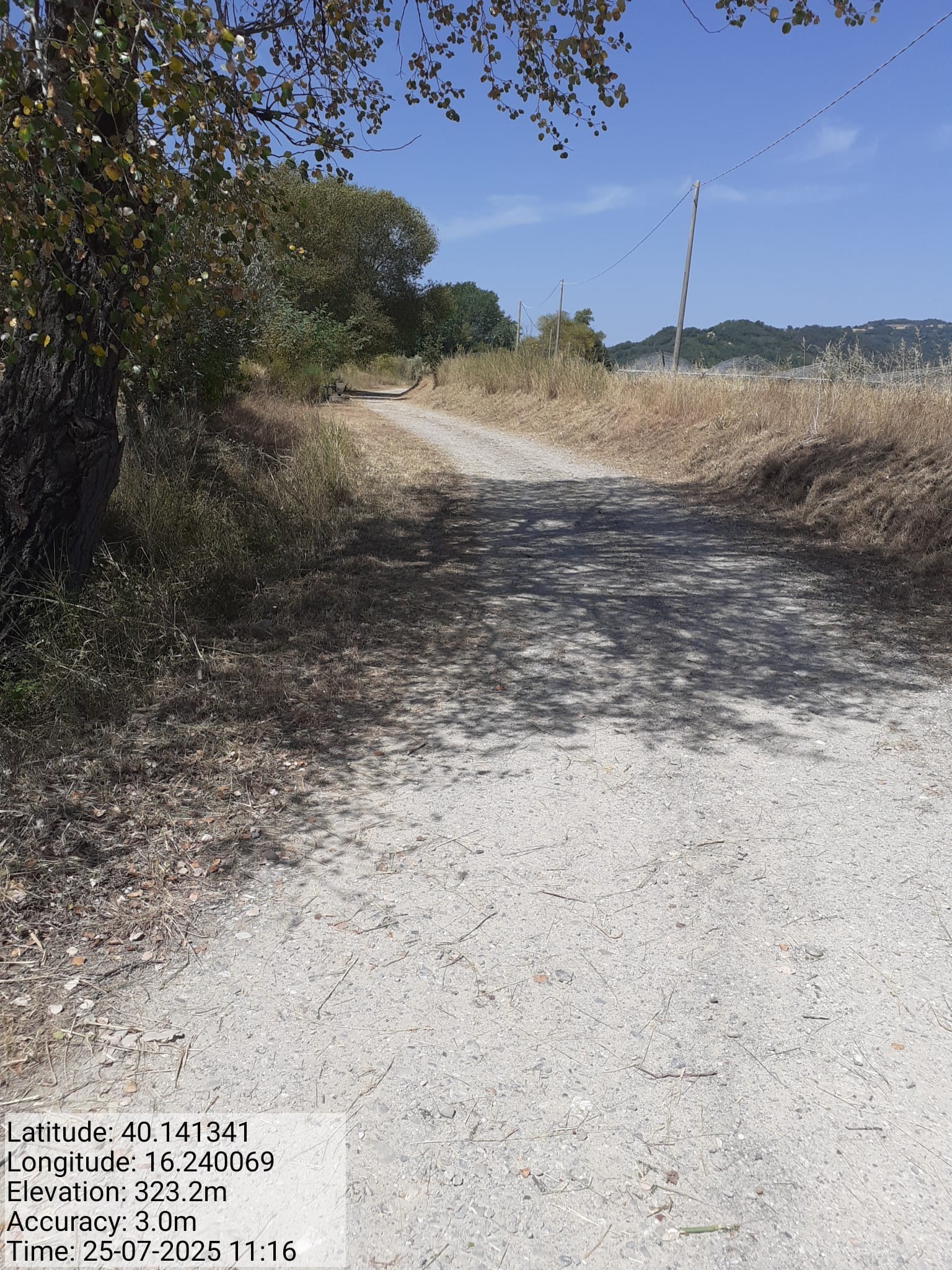 Galleria Fotografica Immagine