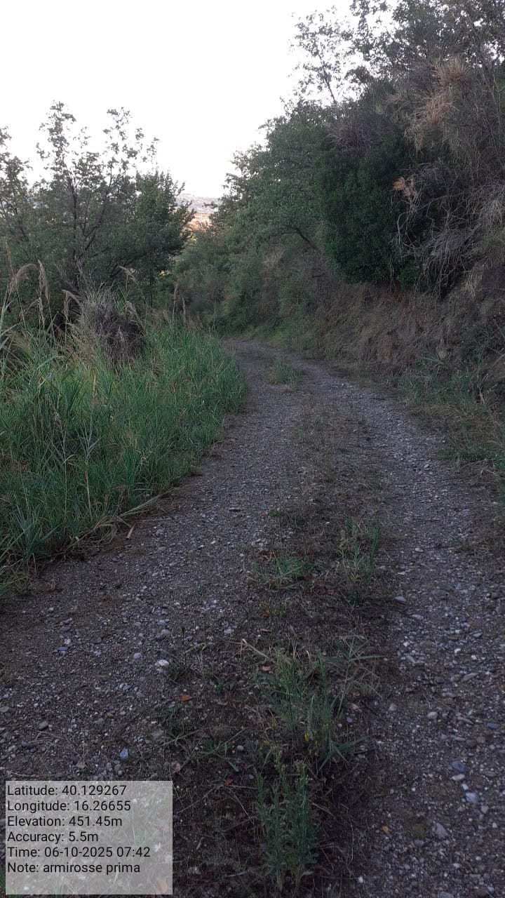 Galleria Fotografica Immagine