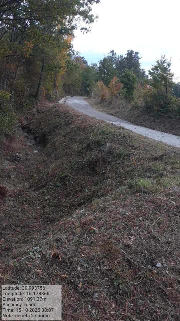 Galleria Fotografica Immagine