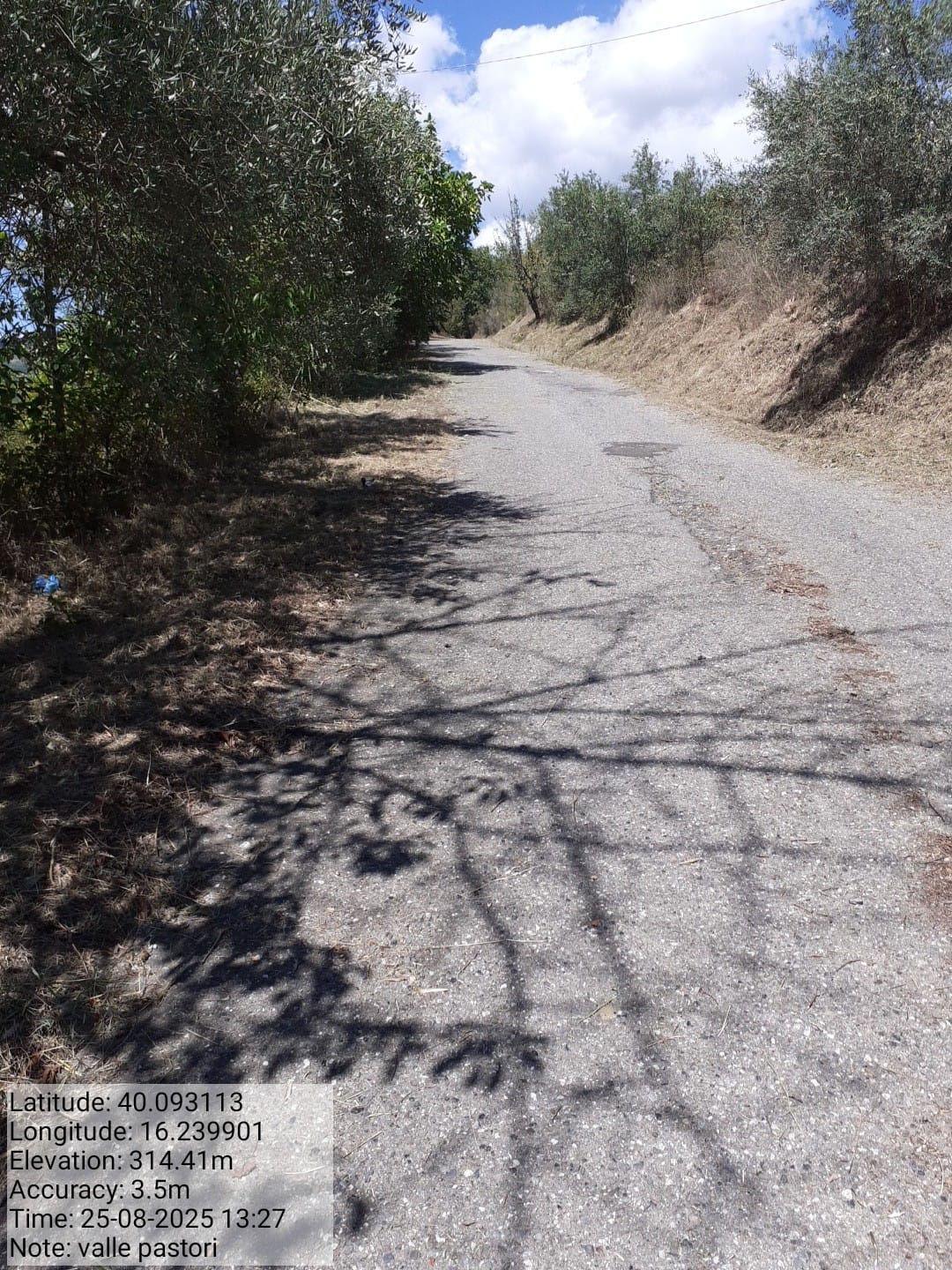 Galleria Fotografica Immagine