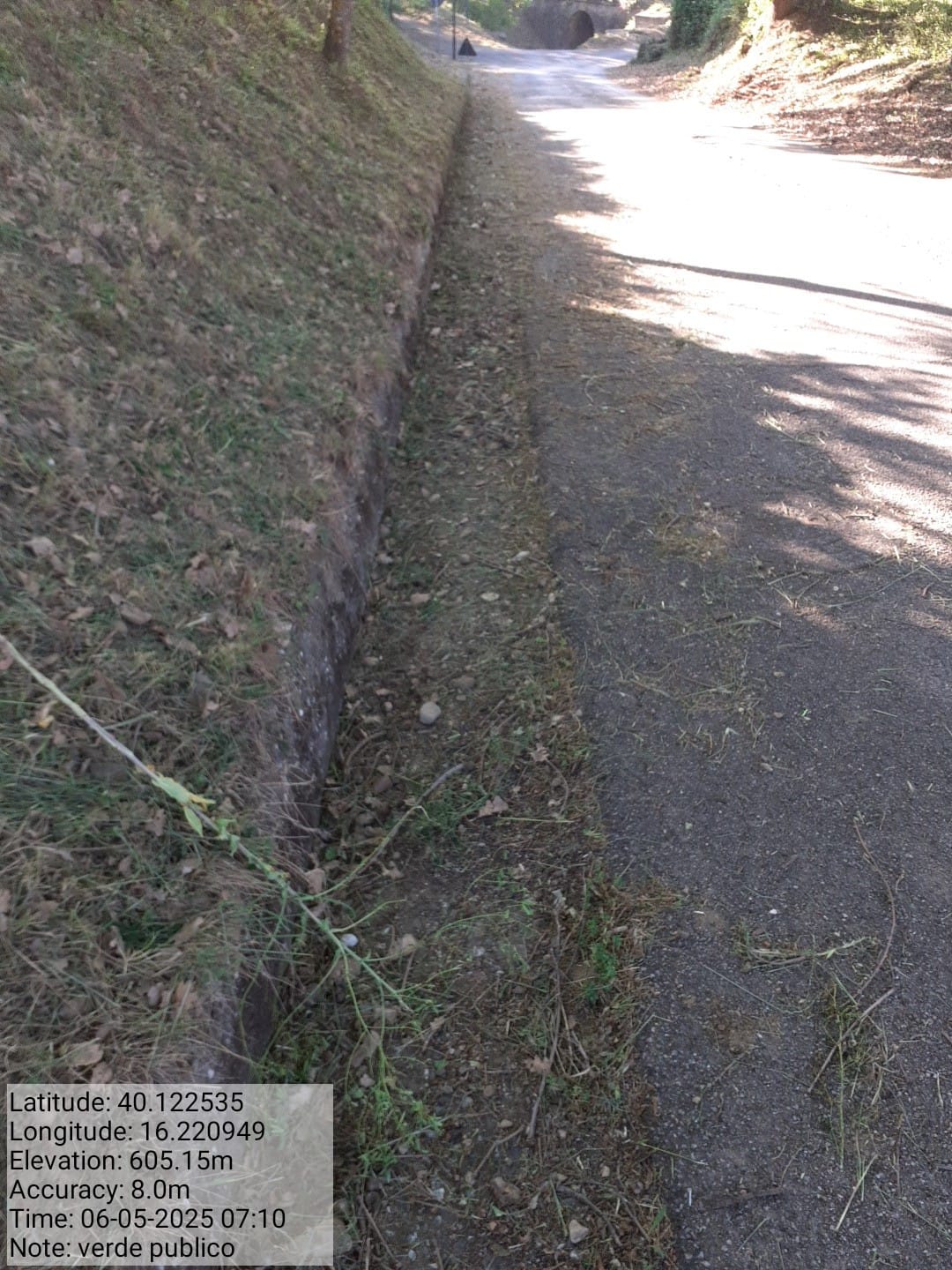 Galleria Fotografica Immagine