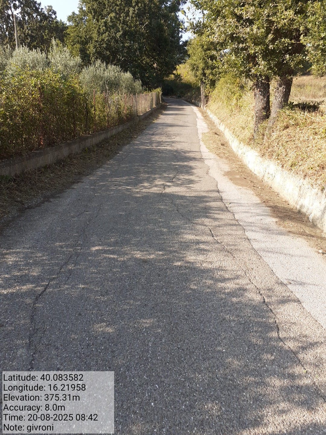 Galleria Fotografica Immagine