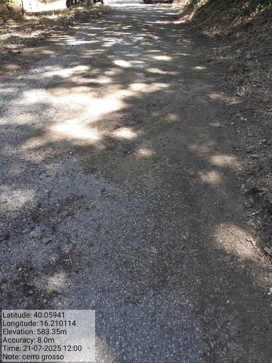 Galleria Fotografica Immagine