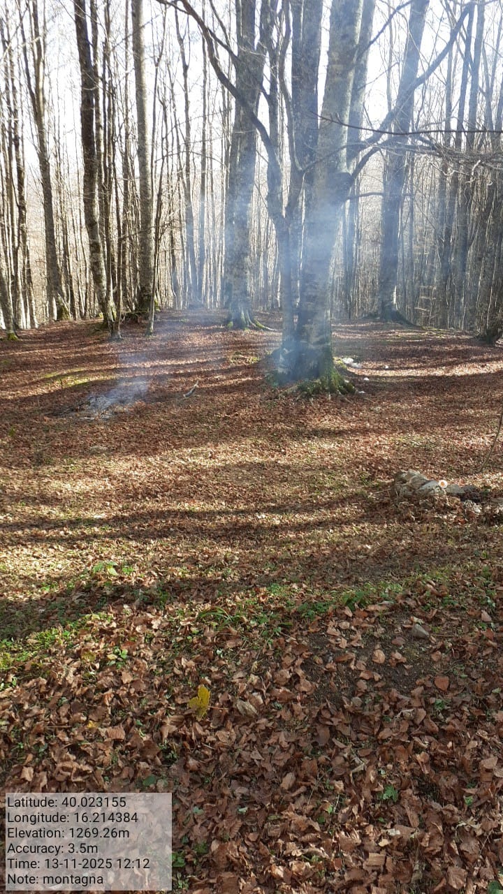 Galleria Fotografica Immagine