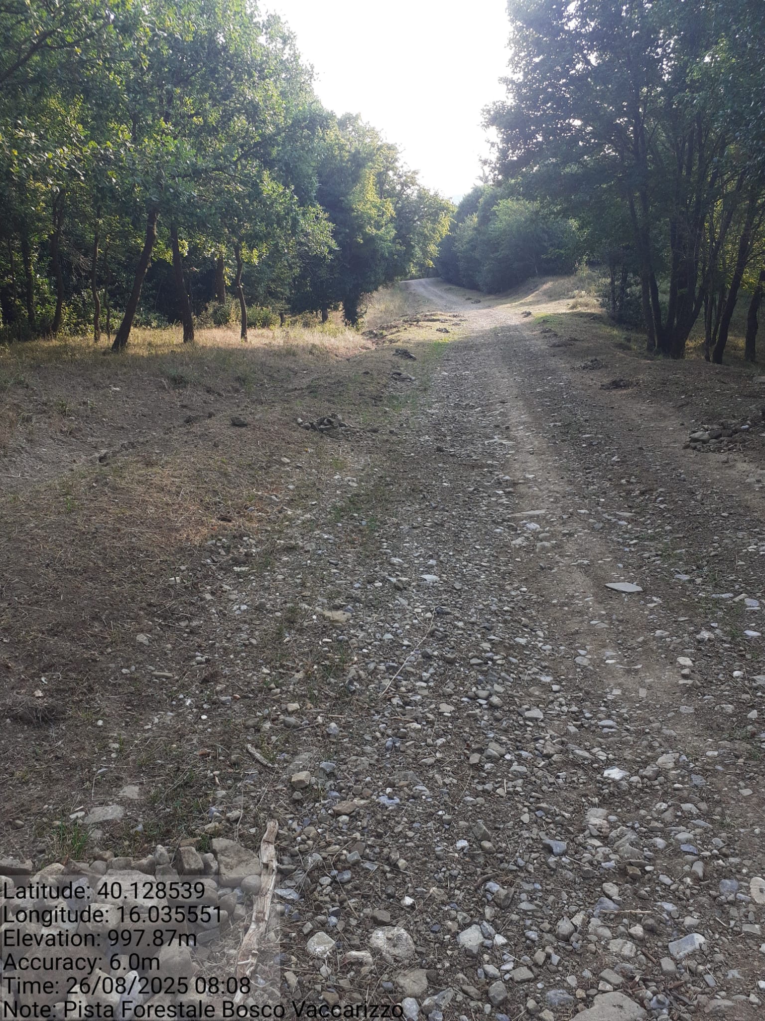 Galleria Fotografica Immagine