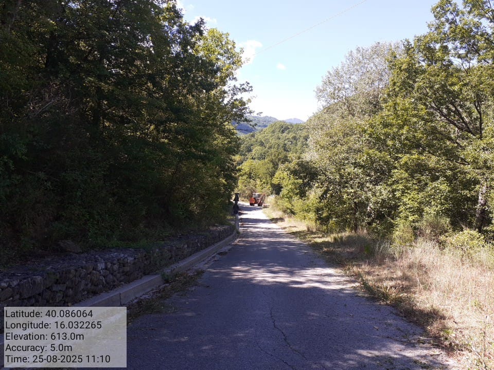 Galleria Fotografica Immagine