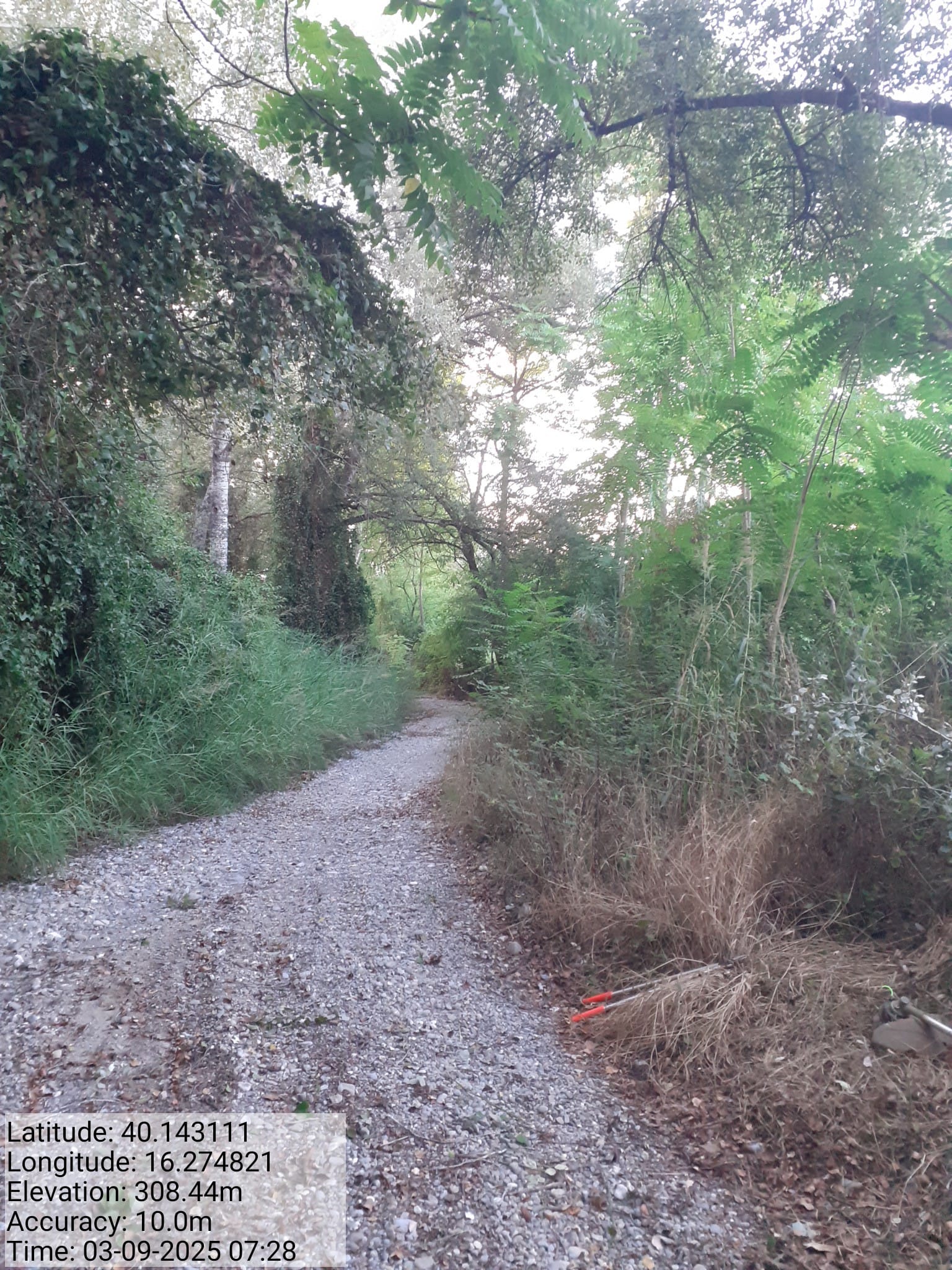 Galleria Fotografica Immagine