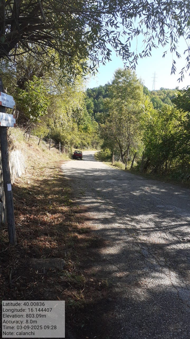 Galleria Fotografica Immagine