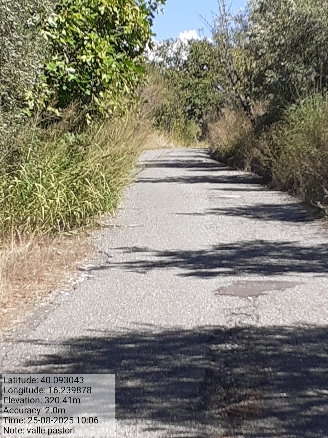 Galleria Fotografica Immagine