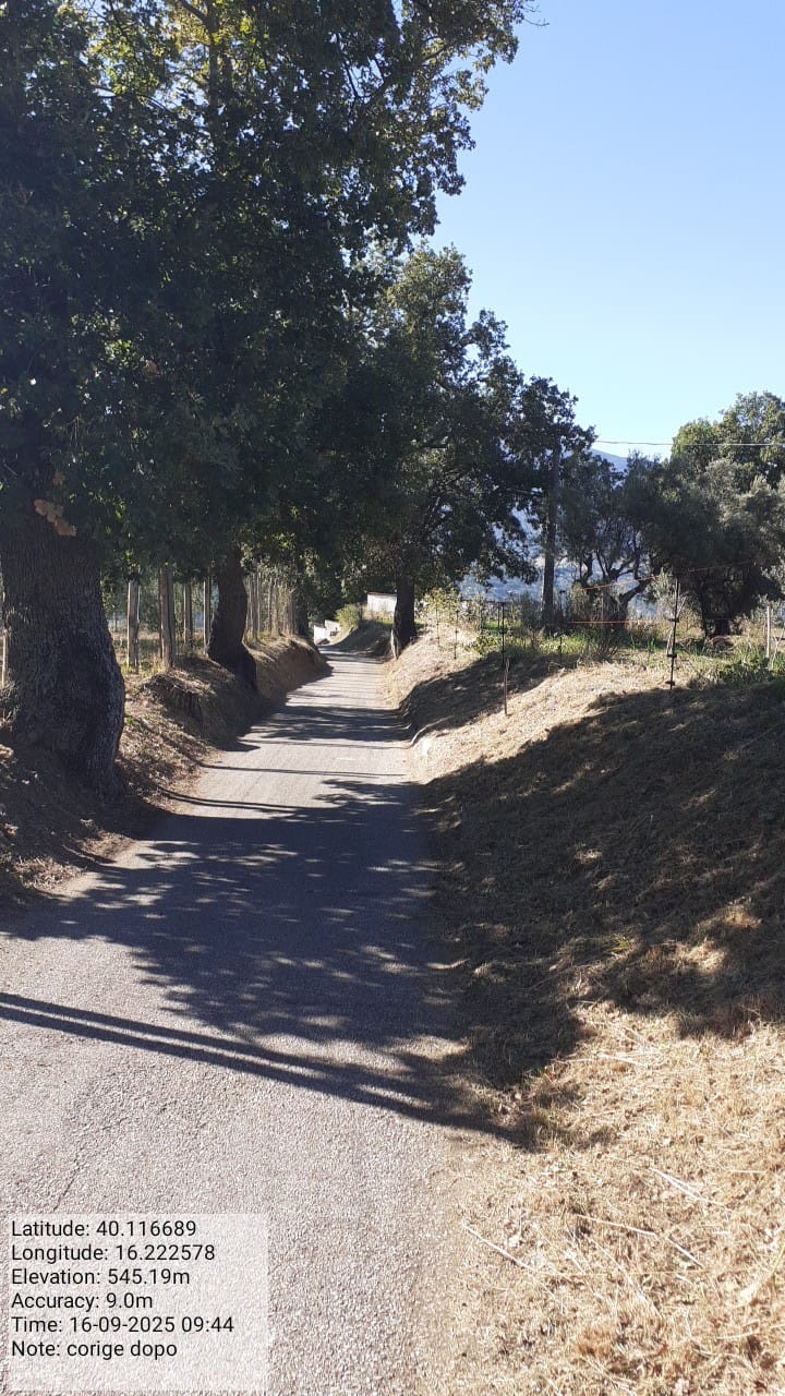 Galleria Fotografica Immagine