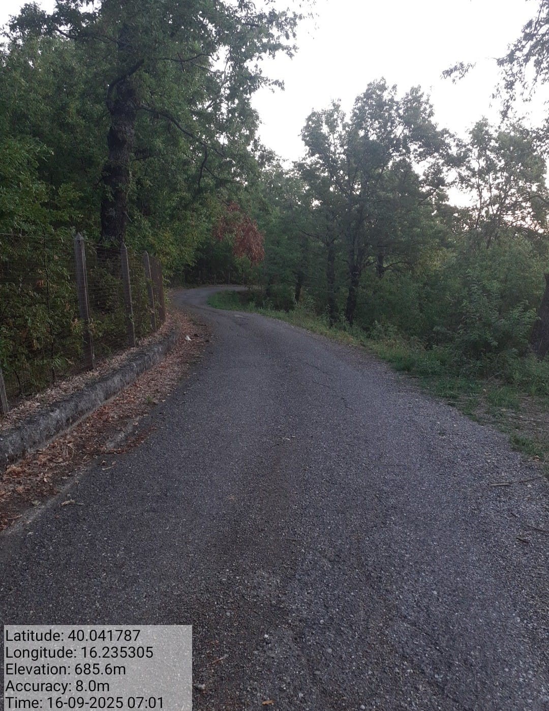 Galleria Fotografica Immagine