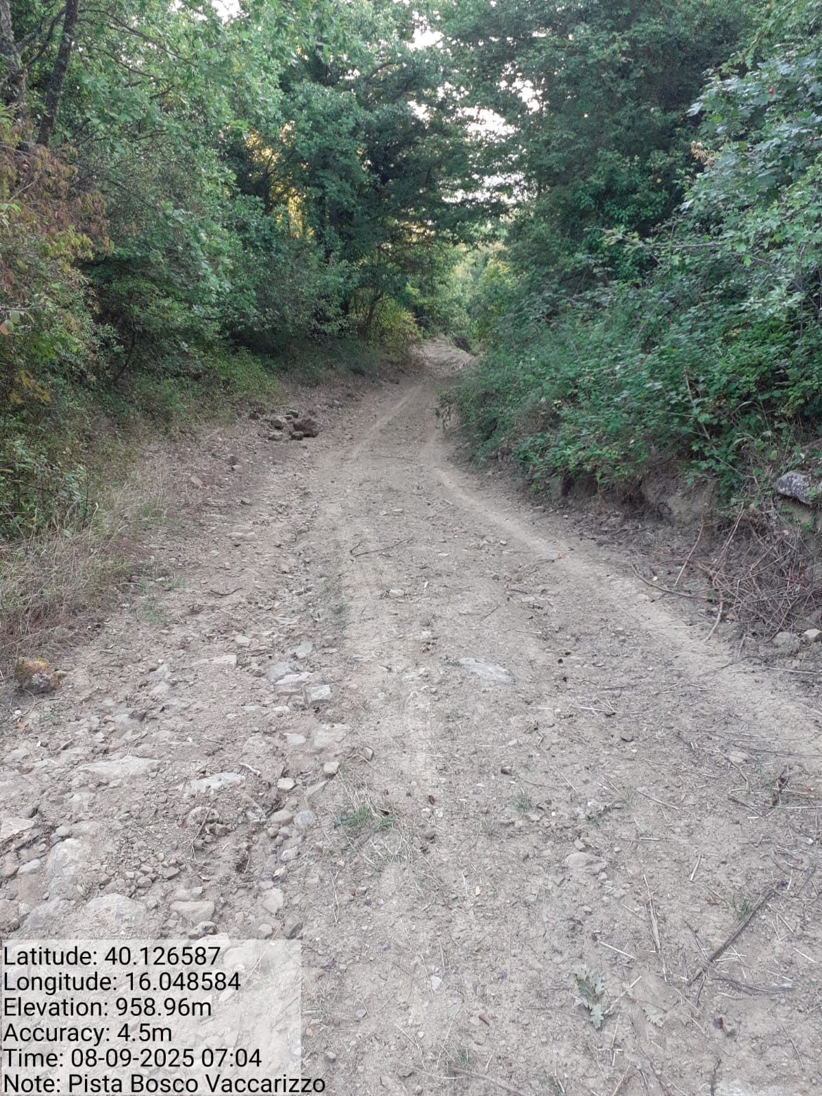 Galleria Fotografica Immagine