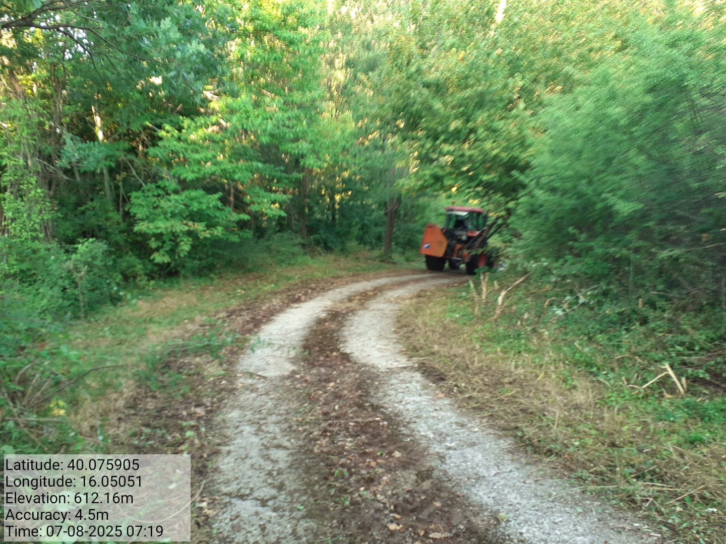 Galleria Fotografica Immagine
