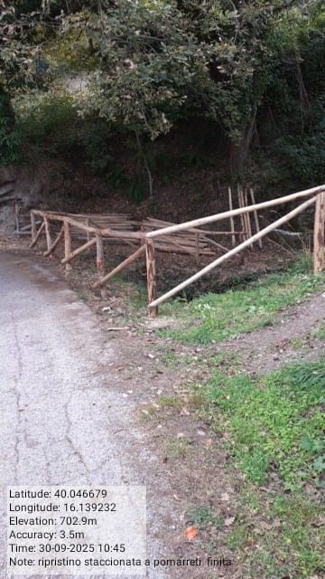 Galleria Fotografica Immagine