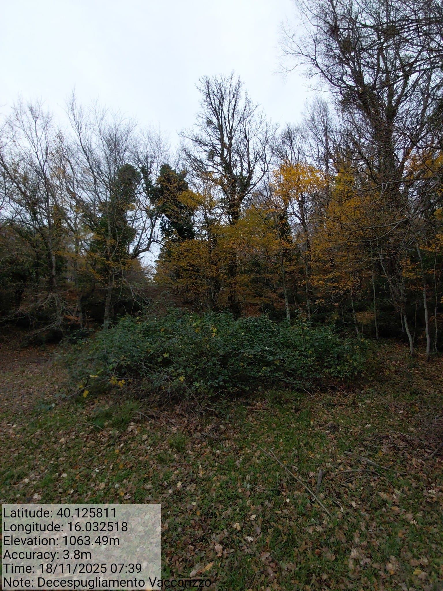 Galleria Fotografica Immagine