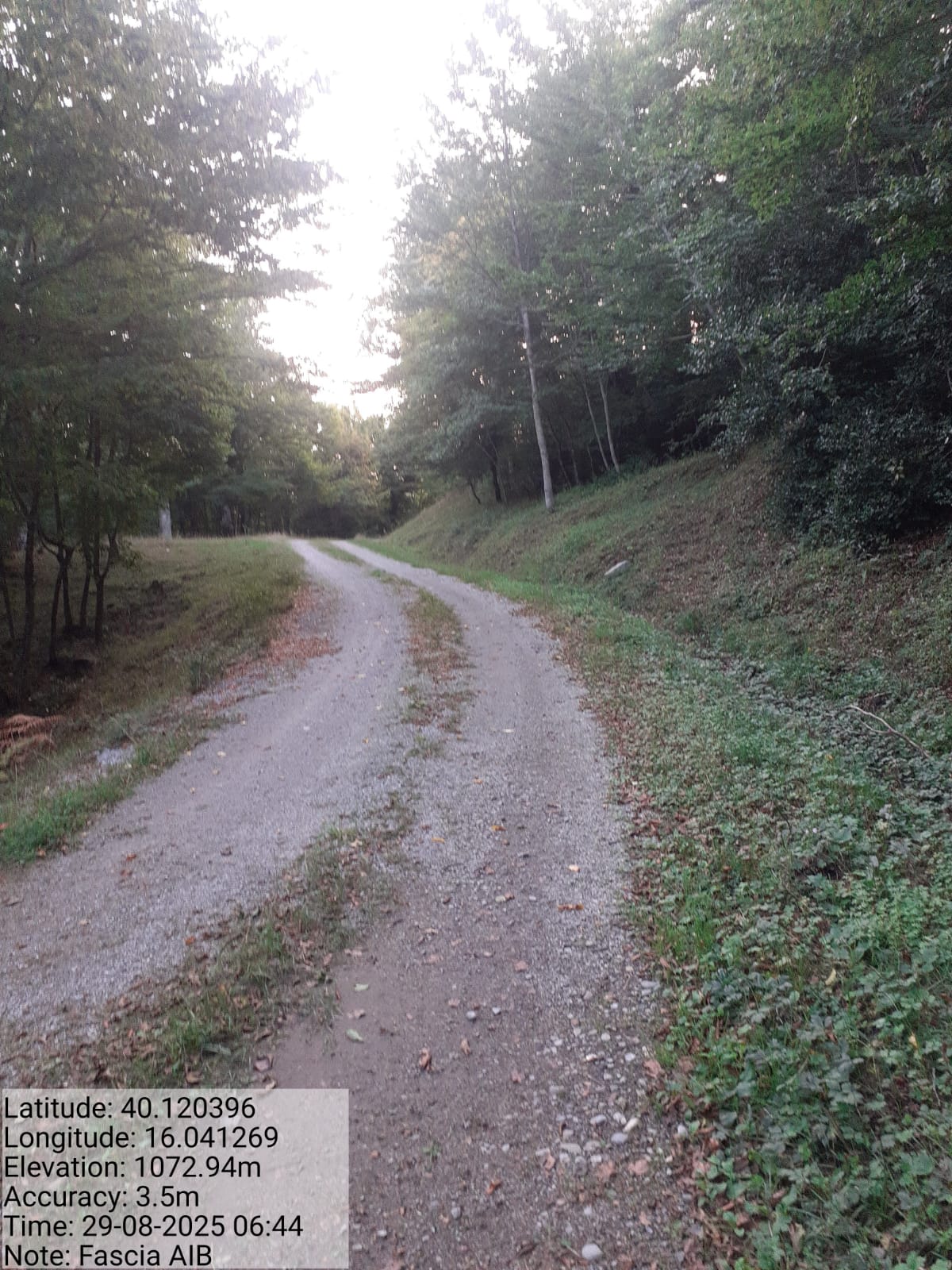 Galleria Fotografica Immagine