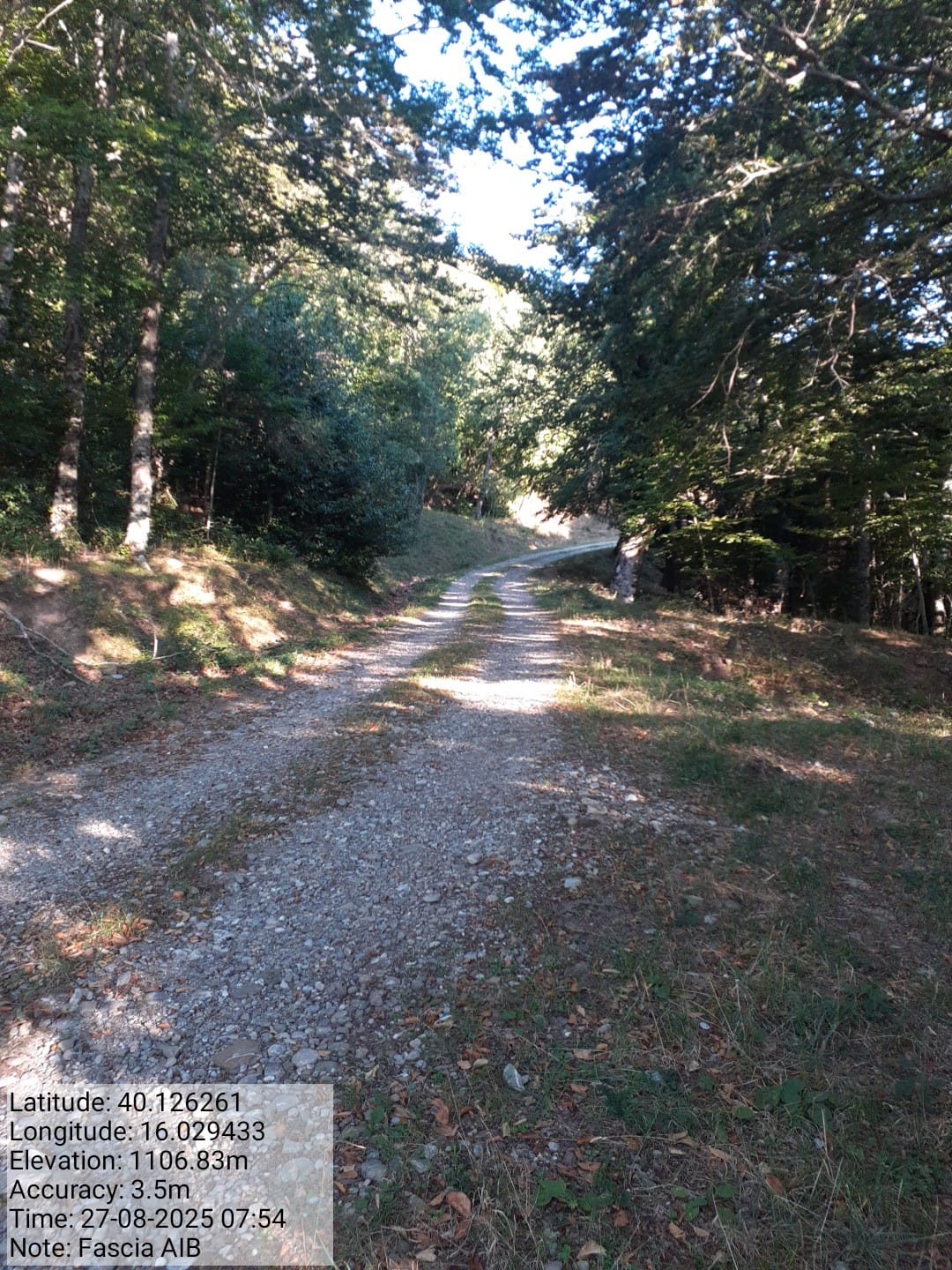 Galleria Fotografica Immagine