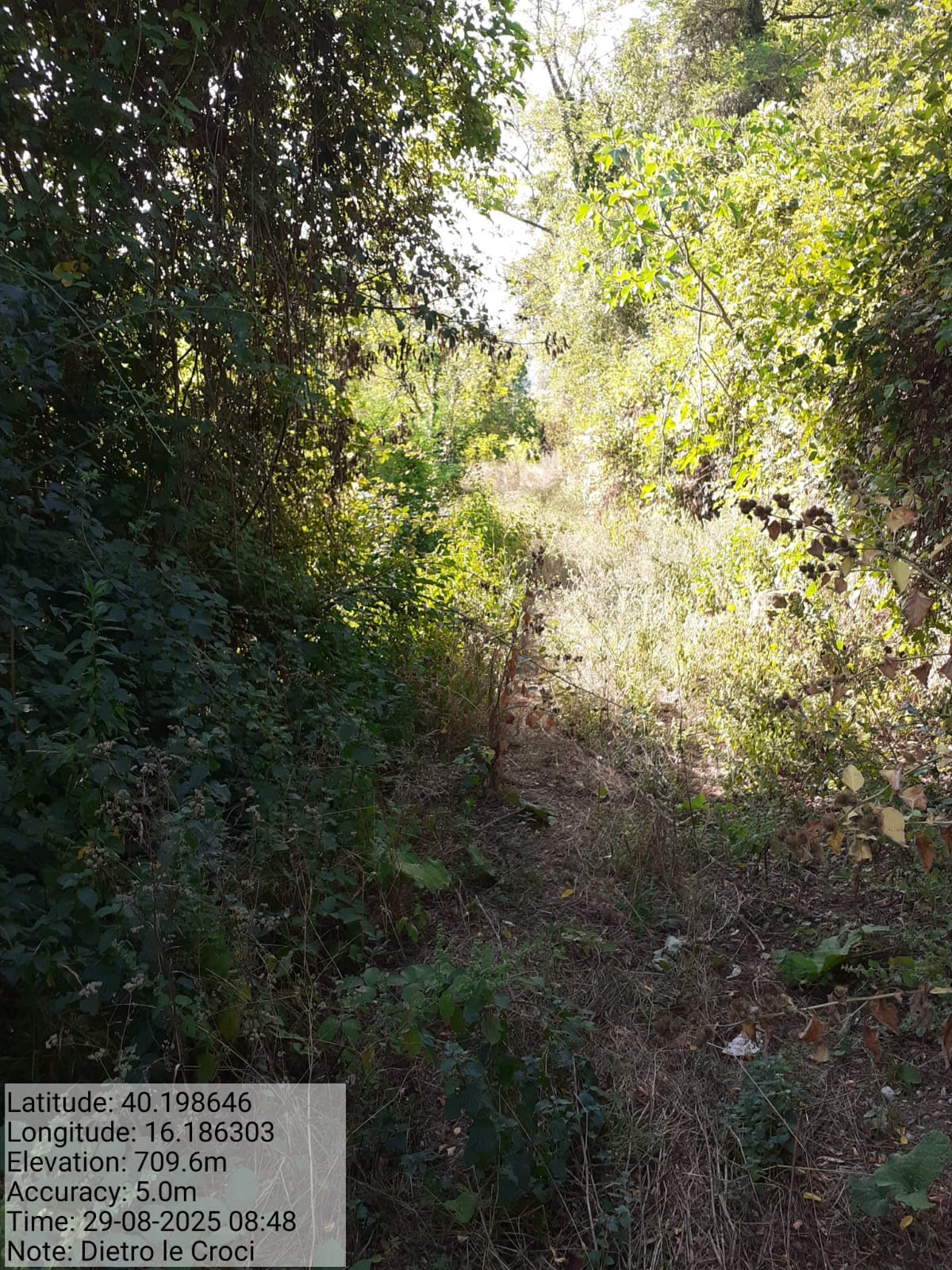 Galleria Fotografica Immagine