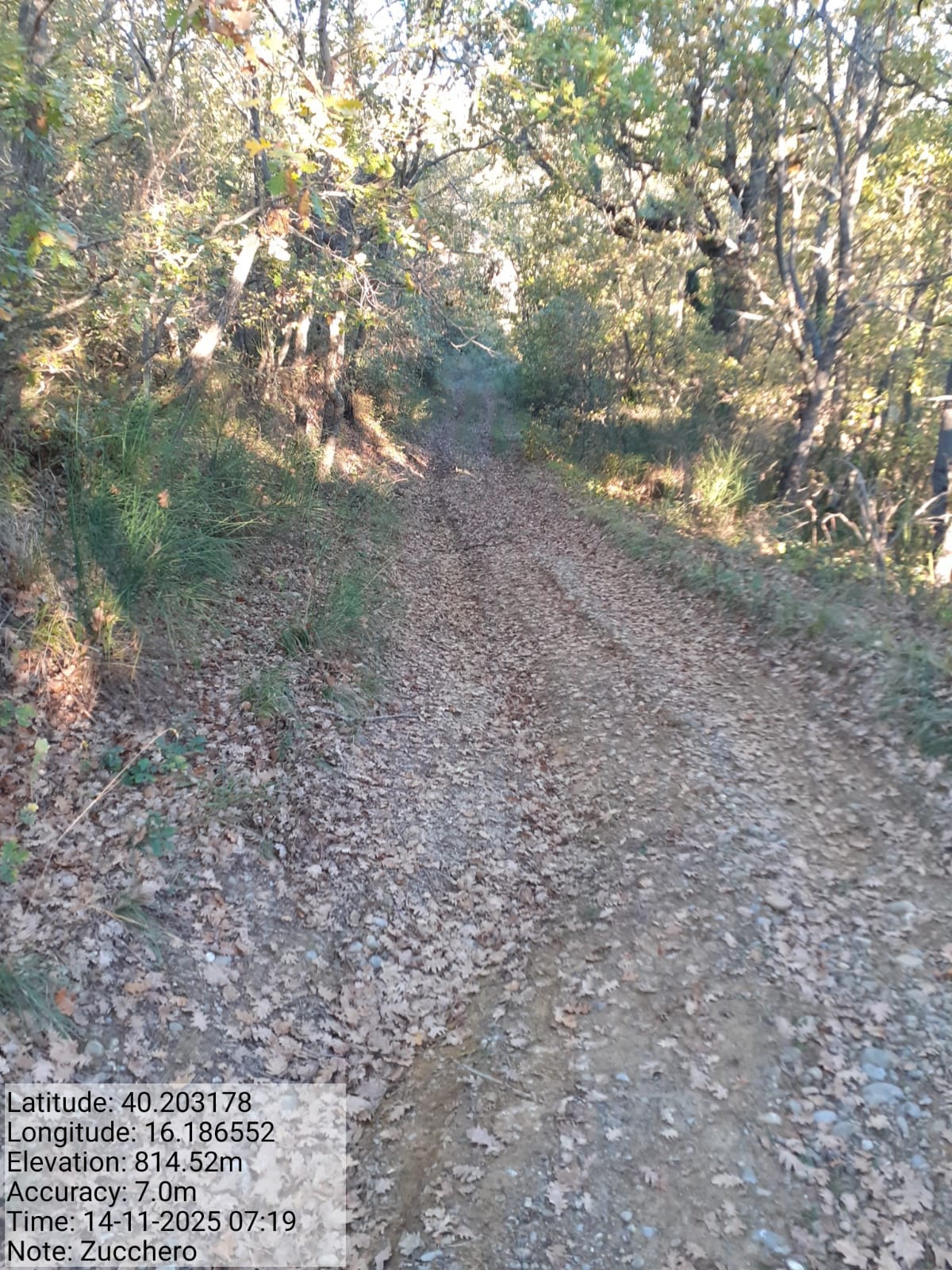 Galleria Fotografica Immagine