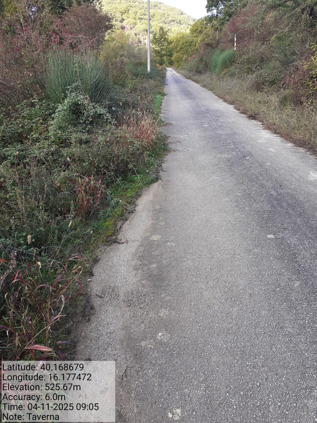 Galleria Fotografica Immagine