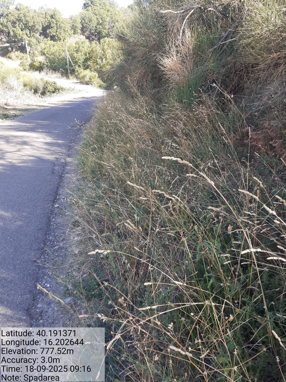 Galleria Fotografica Immagine