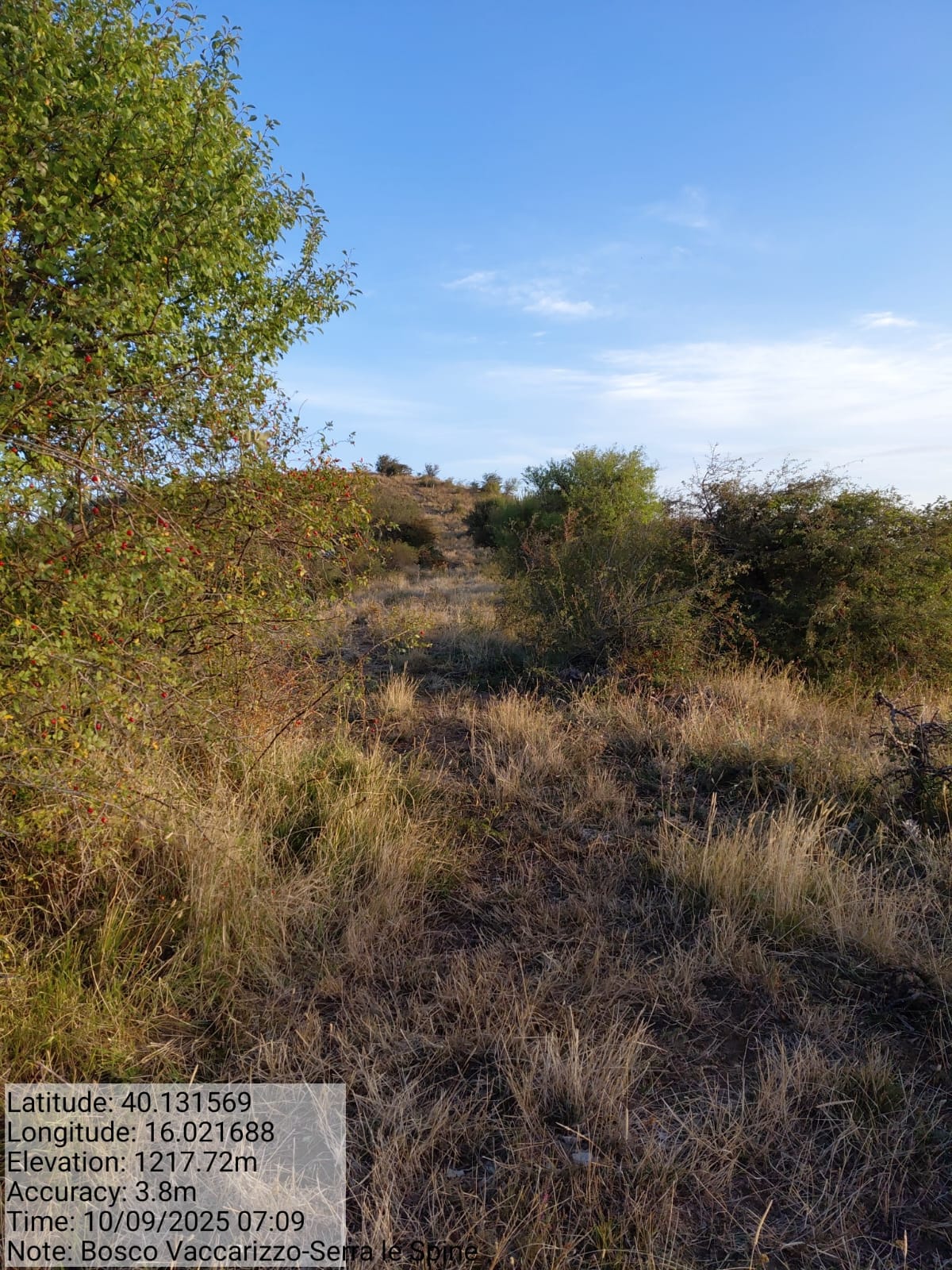 Galleria Fotografica Immagine