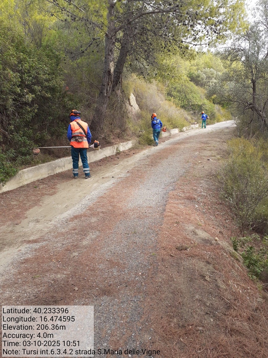 Galleria Fotografica Immagine