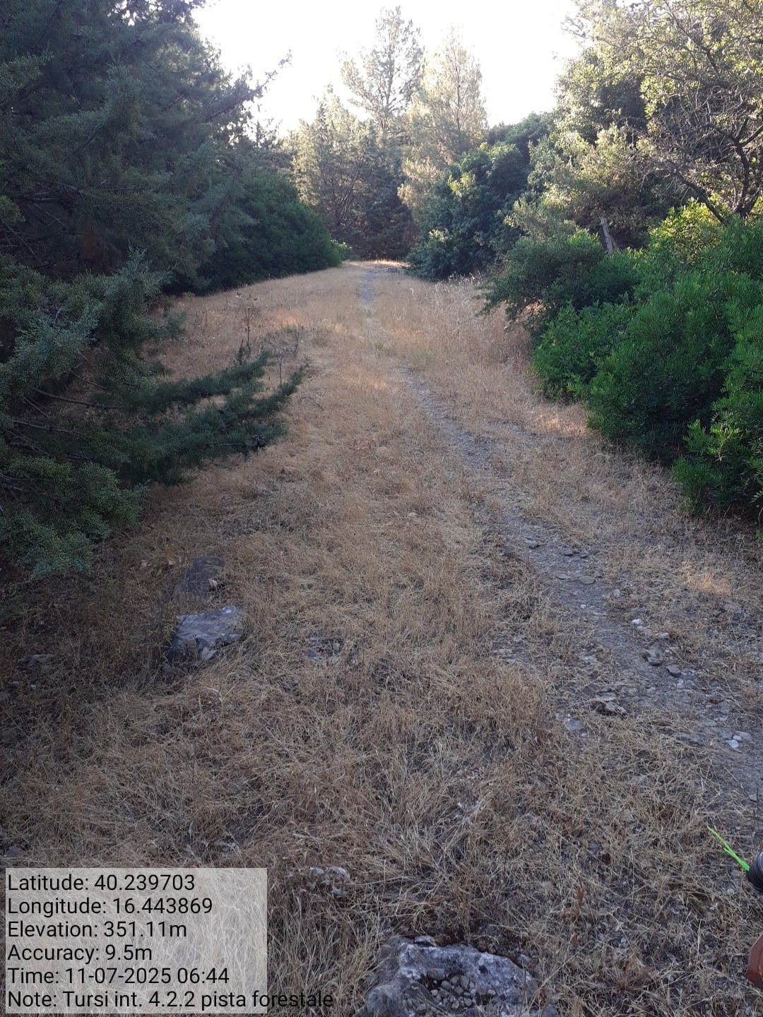 Galleria Fotografica Immagine