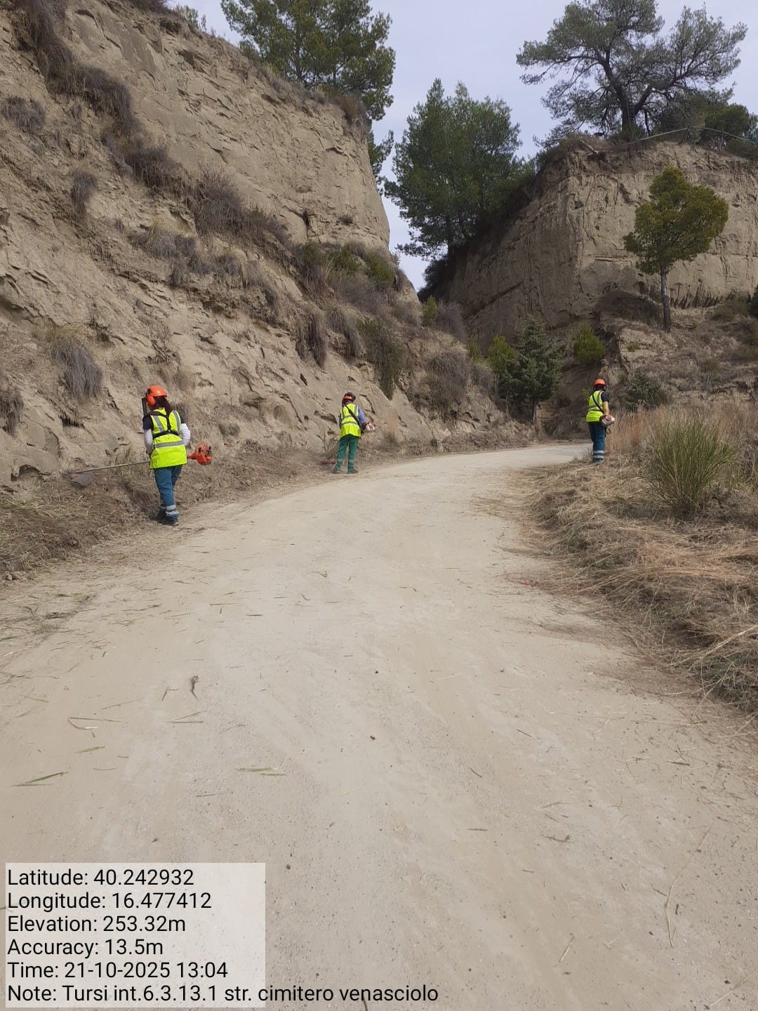 Galleria Fotografica Immagine