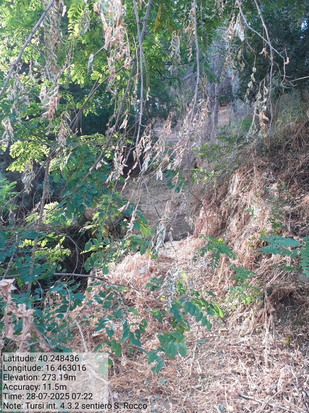 Galleria Fotografica Immagine