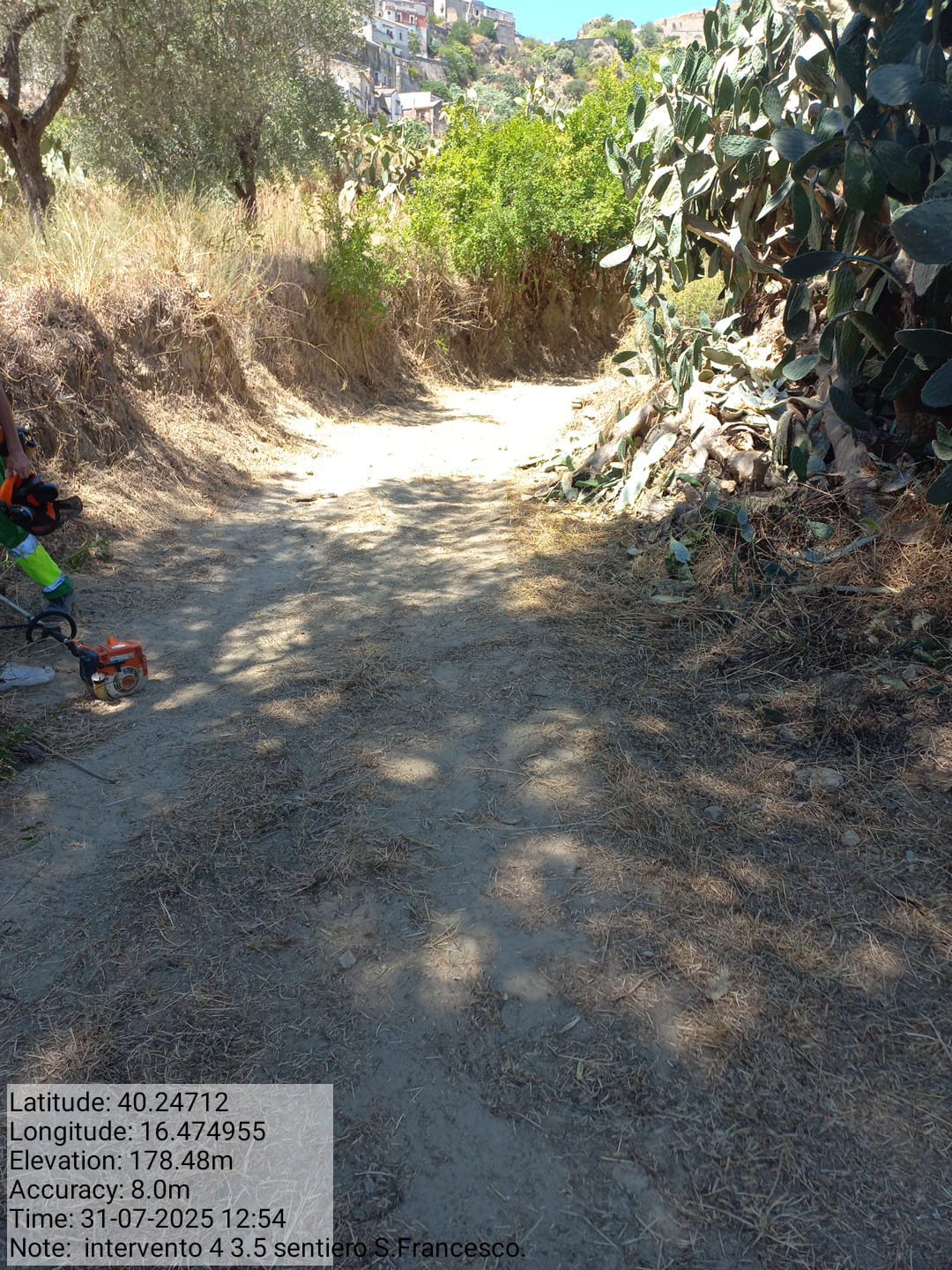 Galleria Fotografica Immagine