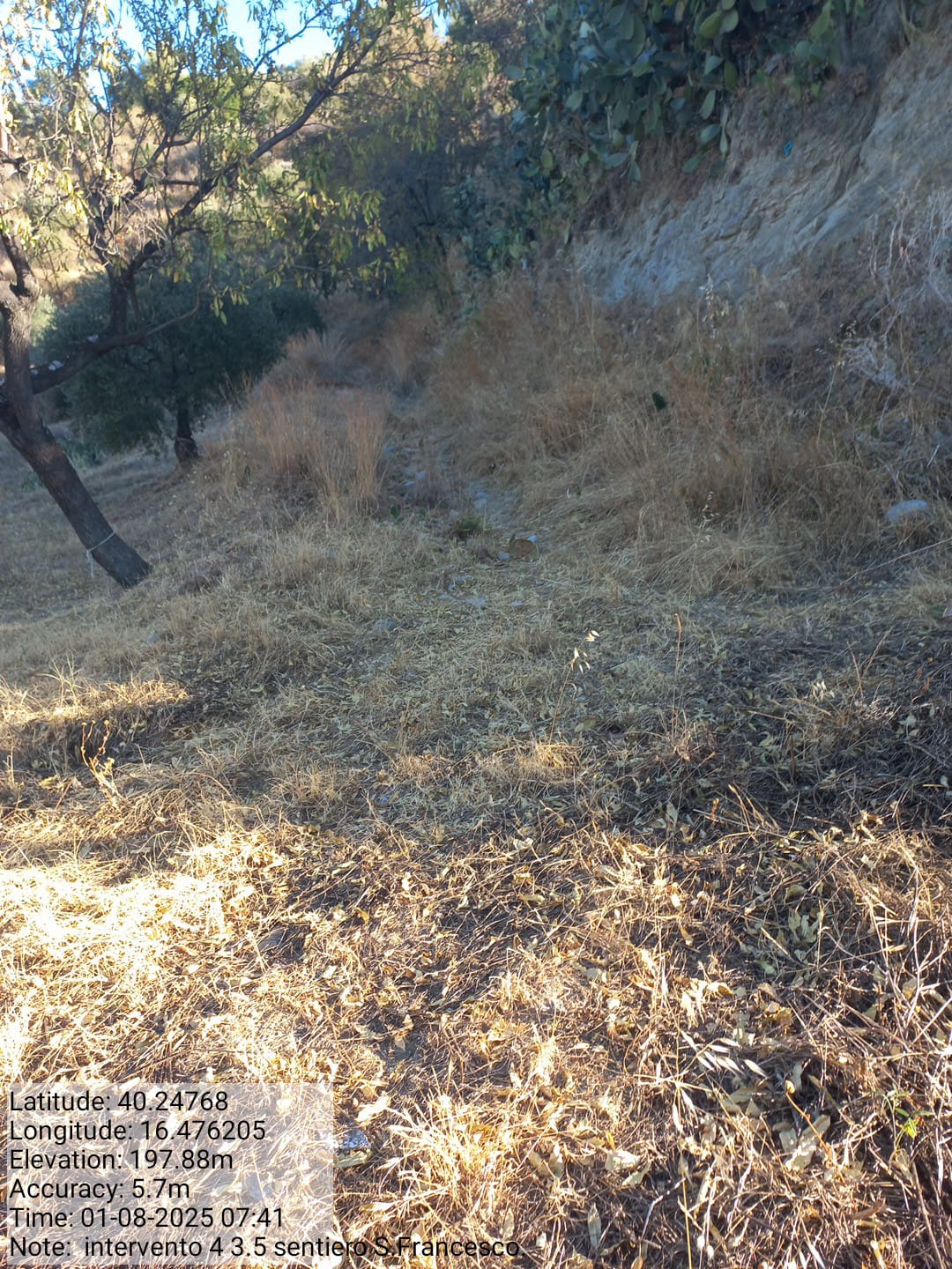 Galleria Fotografica Immagine