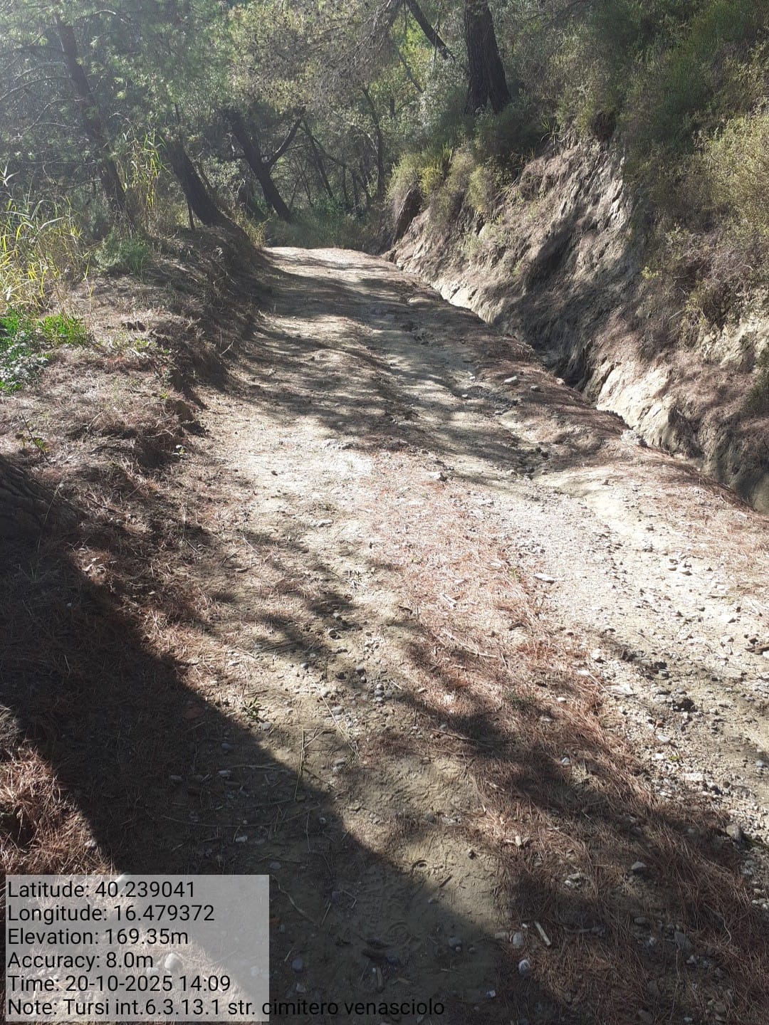 Galleria Fotografica Immagine