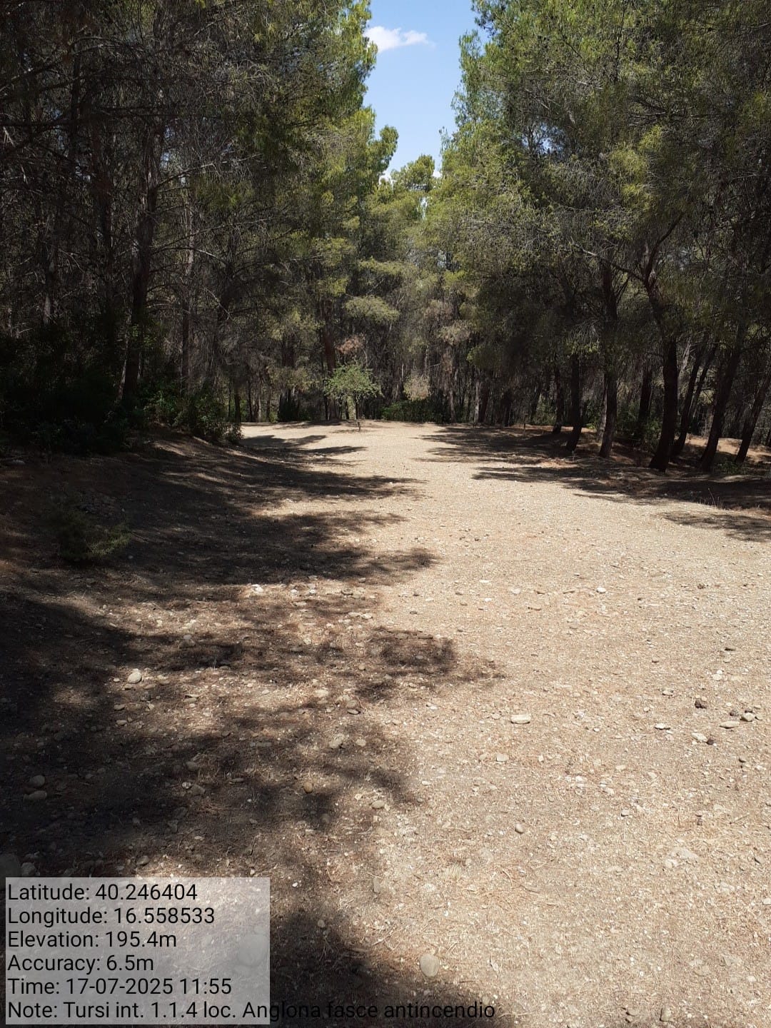 Galleria Fotografica Immagine