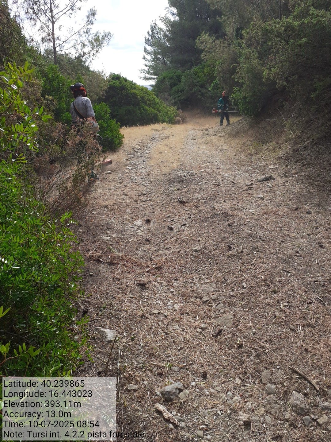 Galleria Fotografica Immagine