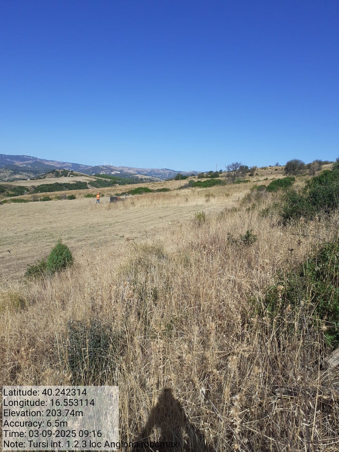 Galleria Fotografica Immagine