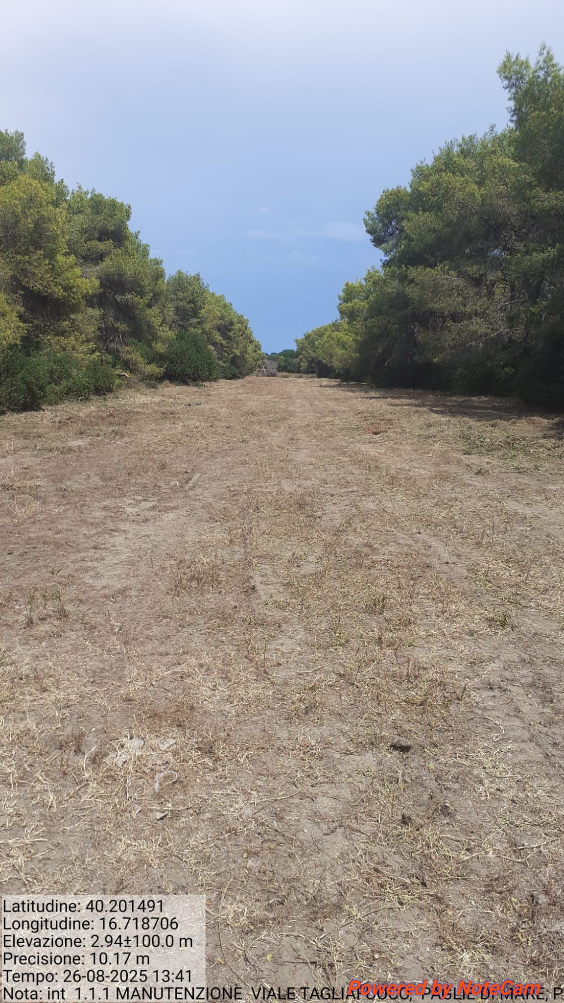 Galleria Fotografica Immagine